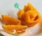 会員募集中！Orange Club 2026～2027｜満喫編（10〜翌4月）｜旬のみかん、春物オレンジを月1回、7カ月間、お届けするサブスクです