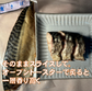 けむり工房仙清「人気の燻製5種類詰め合わせ」。山の工房でコツコツ手作り。マルシェでも人気の燻製です