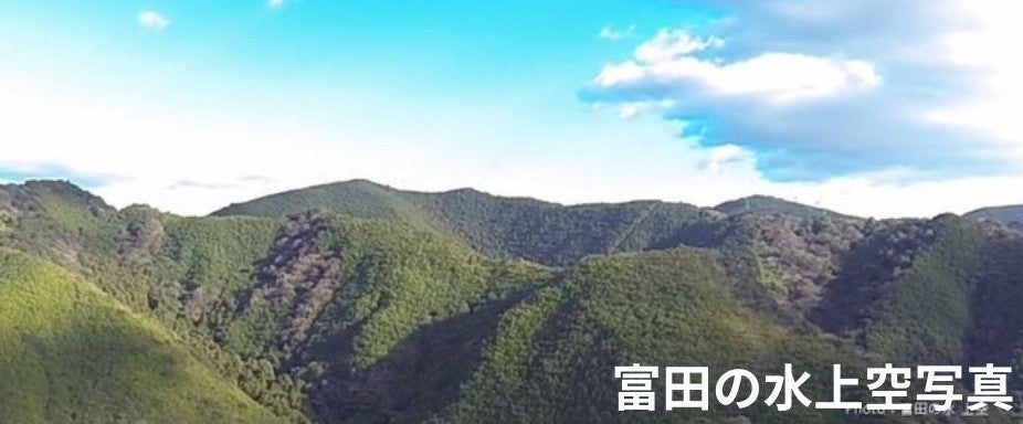１００年前の水が、いま湧き出す。PFAS・硝酸態窒素・放射性物質ゼロ。 熊野の大地が育んだ奇跡の自噴天然水「富田の水」。送料無料。賞味期限5年。備蓄用にも最適。使い勝手の良い1.3L×８
