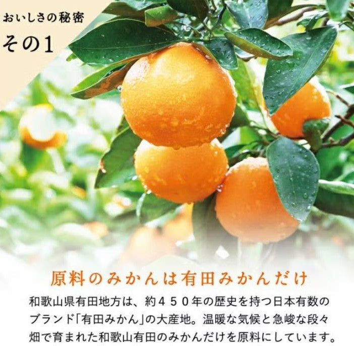 おふくろスムージー6本バラエティセット｜有田みかん・レモン・ゆず・橙・清見｜果肉たっぷり飲むゼリー｜ギフト・贈答用にも