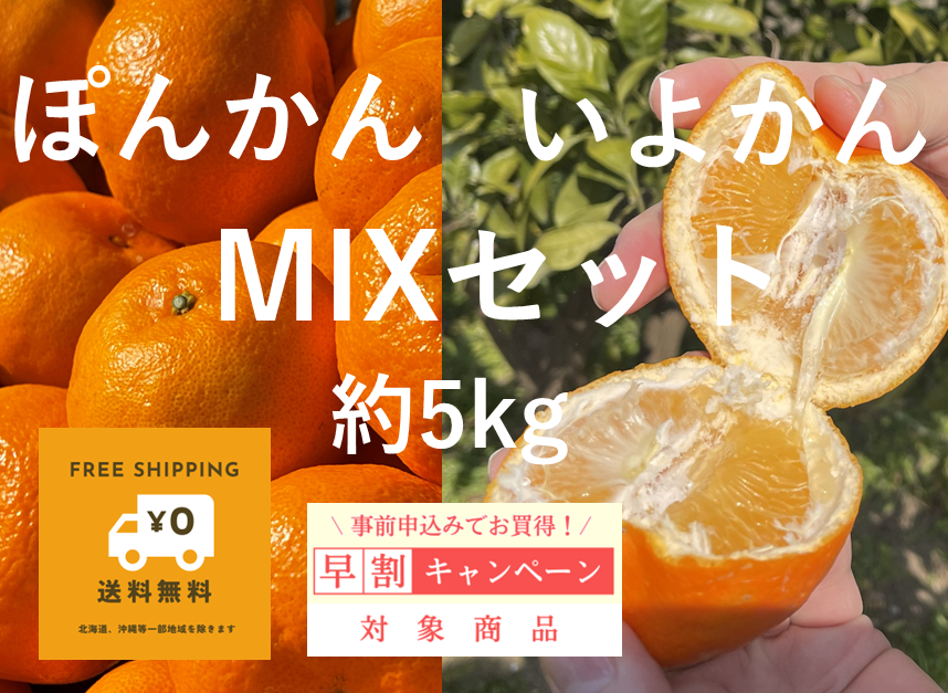 早割！ぽんかん＆いよかんMIX（約5kg）先着20名様限定　1月15日までにお申し込みください。