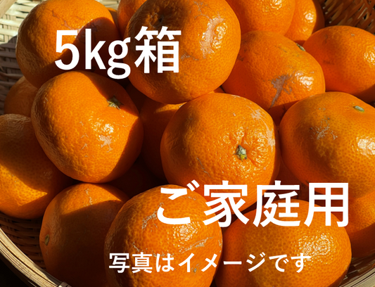 年内お届けは25日（水）までにご注文ください！おいしい！でもちょっぴり訳あり　ご家庭用有田みかん　５㎏