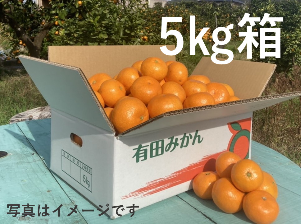 紀州産直便　Orange Club みかん編始めます。紀州産直便ならではのおいしいみかんを3カ月限定でお届けするサブスクです。送料無料2890円/月～
