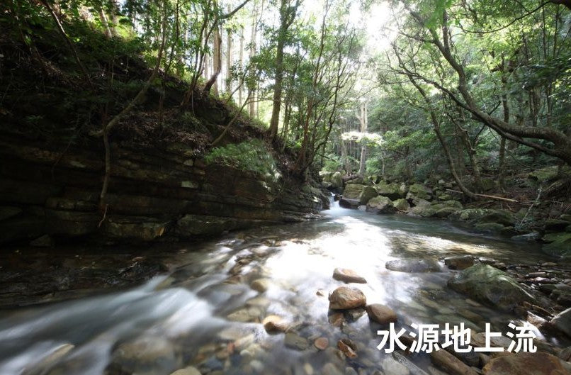 【送料無料】熊野の自噴天然水「富田の水」定期便｜毎月第1・第3週に2箱ずつお届け｜モンドセレクション25年連続最高金賞｜使いながら備蓄できる天然水