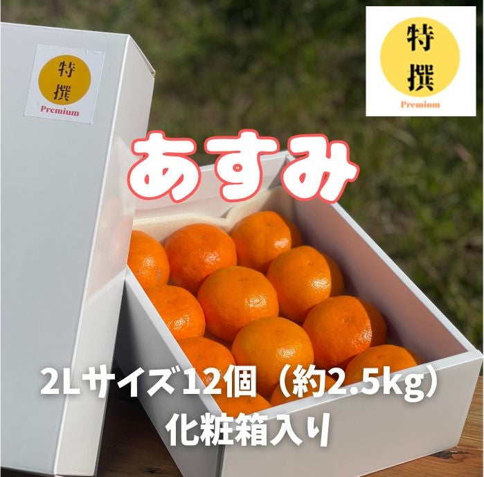 春物オレンジの新星“あすみ”。化粧箱入り（2Lサイズ×12個　約2,5kg )。５名様限定！しかも２月２０日（金）正午までの期間限定！人気のせとか、甘平、そして新星のあすみちゃん！貴方は何派？