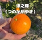 春物オレンジらしさをぎゅっと凝縮。手で剥けて濃い味。津之輝（つのかがやき）