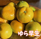 秋の味くらべ｜ゆら早生2kgと味心の2Lたねなし柿5個 詰め合わせ