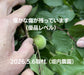 【先行予約！】数量限定！紀州南高梅 青梅 L～2Lサイズ 優品 1kg / 2kg /3kg / 5kg / 10kg
