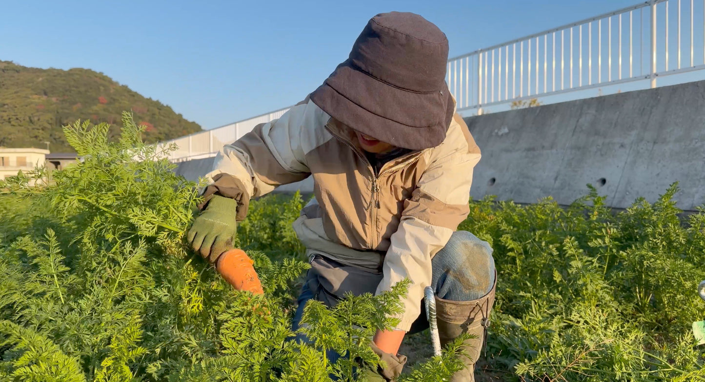 農薬不使用、化学肥料不使用のお野菜をご自宅にお届けするサブスクです（期間限定5月～12月）。紀州産直便と、こくちーずファームとのタイアップ企画！紀州産直便「とくうま野菜クラブ」ご予約受付スタート！