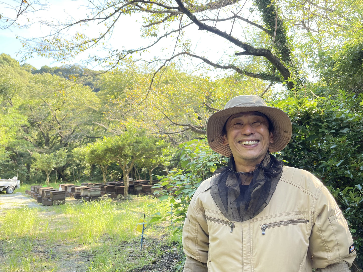 夏の贈り物に｜和歌山産みかん蜂蜜【新蜜】１２００ｇ化粧箱入り｜国産純粋はちみつギフト｜じゅん散歩紹介・数量限定