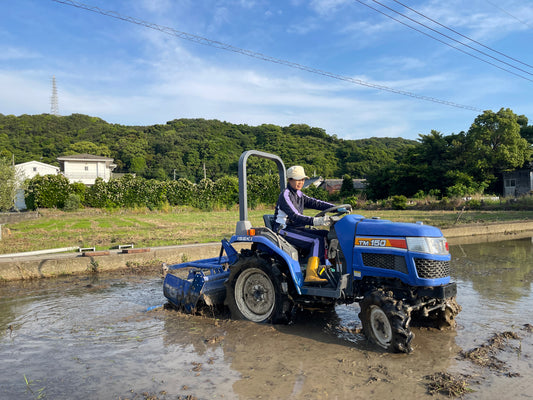 紀州産直便Farmers Liner Kinokuniのきぬむすめ10kg