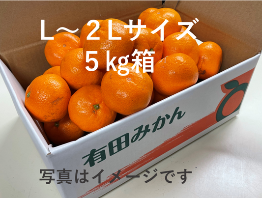 年内お届けは25日（水）までにご注文ください！お買い得！大きめサイズ（L～２L）の有田みかん5㎏　限定３０組様