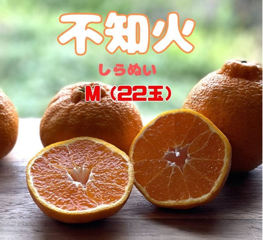 いよいよ始まります！春物オレンジ一番人気！甘くてジューシー和歌山県産不知火（しらぬい）Ｍサイズ（22個）