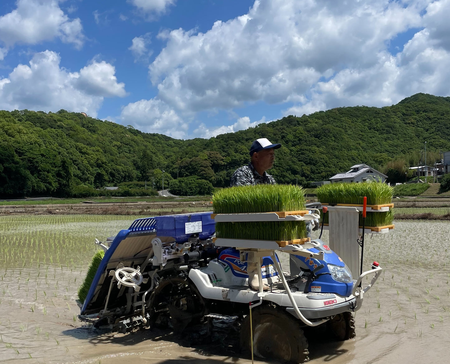 【令和8年産新米｜送料無料・数量限定】垣内農園の「にじのきらめき」｜日高川町の清流で育つ山あいの新米
