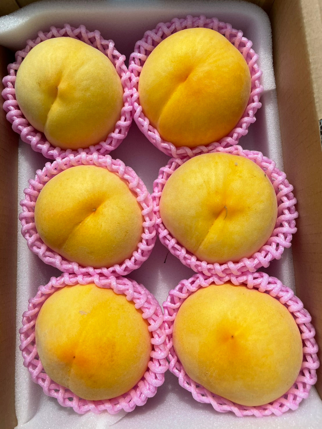 農家自慢！和歌山産直の高級黄桃 つきあかり（秀）大玉6個｜味心北田ファーム｜贈答用にも最適