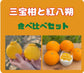 有楽町交通会館マルシェでも人気です！三宝柑と紅八朔。どちらもレア物。おいしいよ！食べ比べセットできました