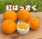 贈答用にも人気の紅八朔。鮮やかな橙赤色と上品な甘さの高級柑橘。甘みしっかり・酸味まろやかで子どもにも食べやすい八朔です