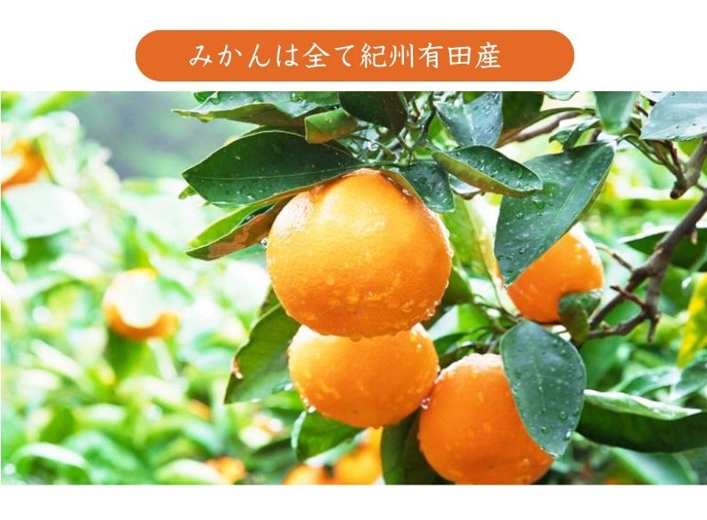 有田みかんストレートジュース「味こいみかん」720ml｜早和果樹園｜濃厚で深いコクの特別仕立て｜贅沢な一本