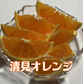 2月～4月の期間限定サブスク　Orange Club～春物オレンジ編～
