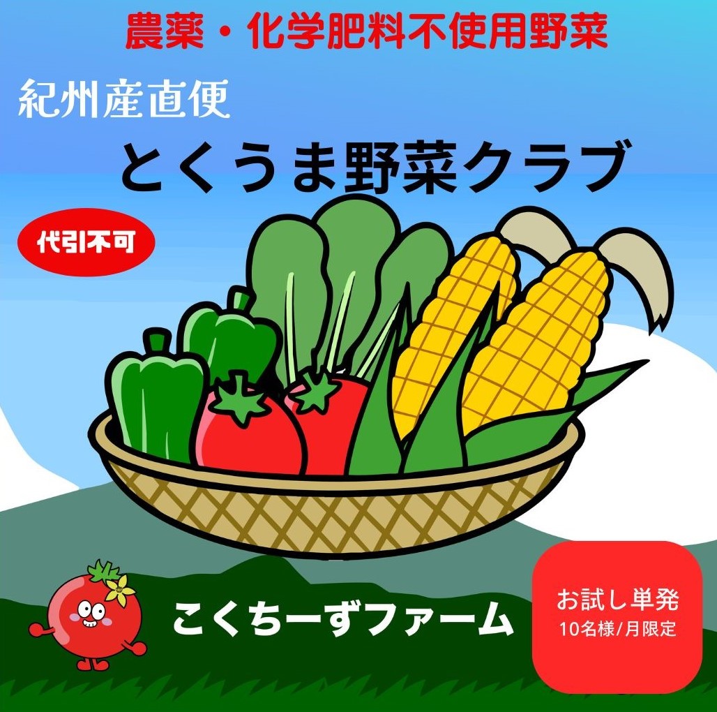 初めての方限定　サブスクのお試しに　今ならさらにお得！紀州産直便＆こくちーずファームのタイアップ企画「とくうま野菜クラブ」の通常購入商品です