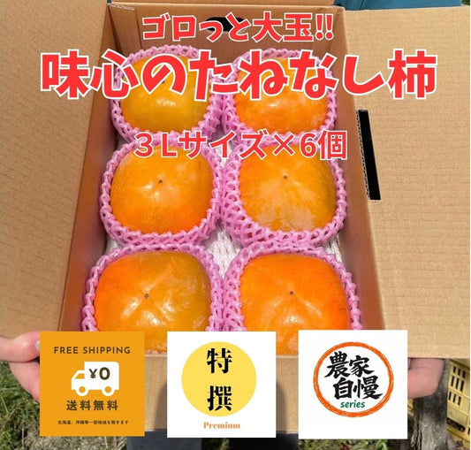 農家自慢・特撰｜味心・北田農園の大玉たねなし柿（3L・6個）