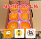 農家自慢・特撰｜味心・北田農園の大玉たねなし柿（3L・6個）