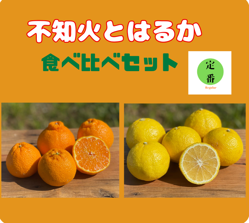 有楽町交通会館マルシェでも人気です！不知火とはるかの食べ比べセット