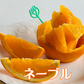 2月～4月の期間限定サブスク　Orange Club～春物オレンジ編～