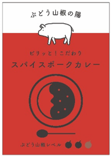 ピリッと！こだわりスパイスポークカレー